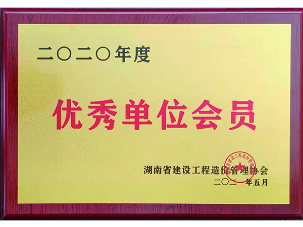 2020湖南省优秀单位会员